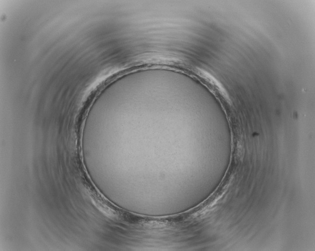 X0000088381027200706121140