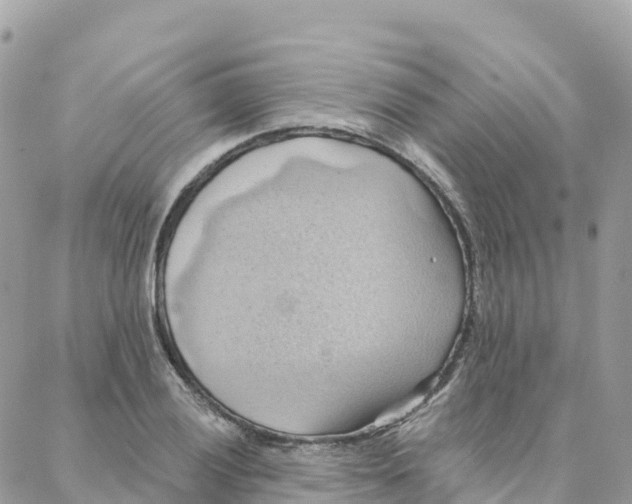 X0000088381028200706121140