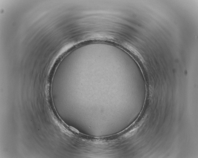 X0000088381029200706121140