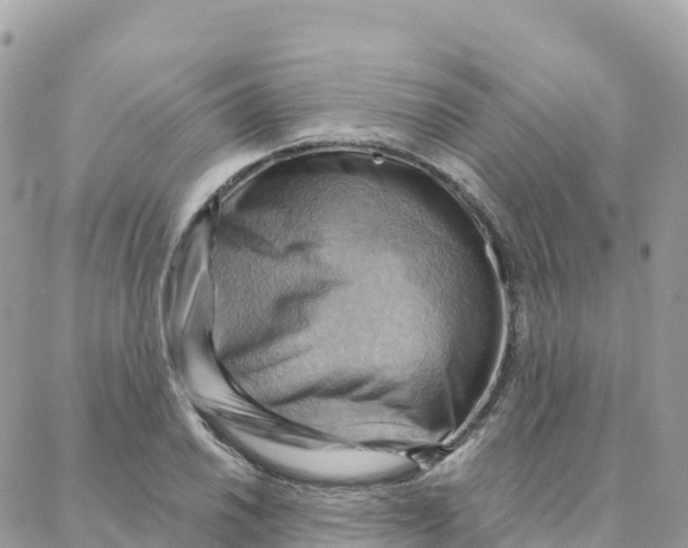 X0000088381030200706121140