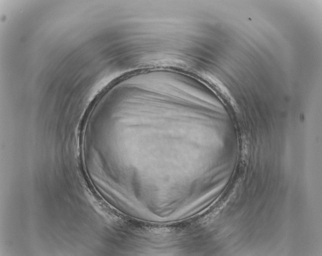 X0000088381031200706121140