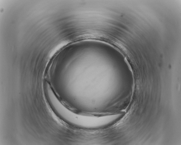 X0000088381034200706121140