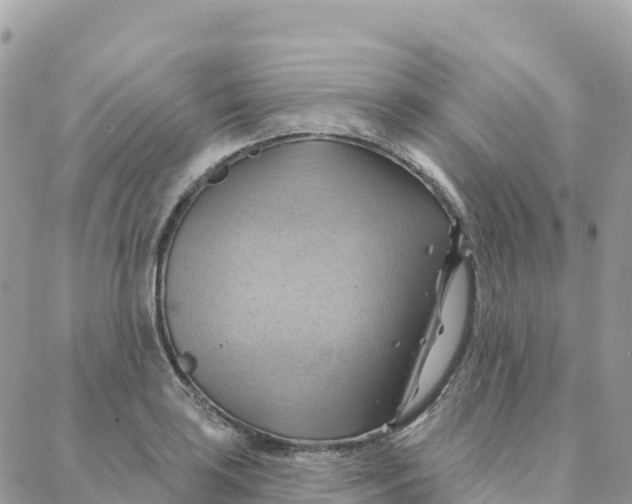 X0000088381035200706121140