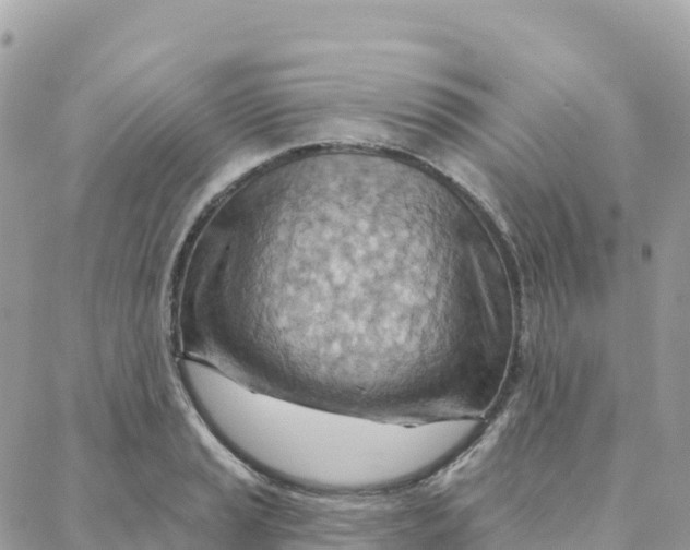 X0000088381037200706121140