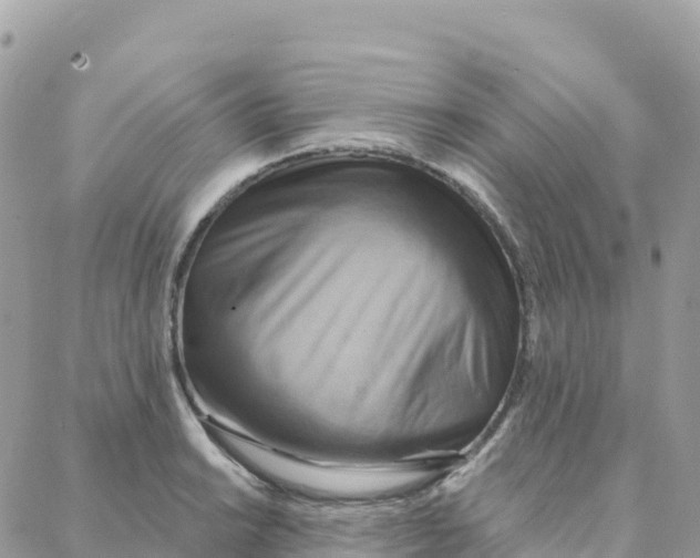 X0000088381038200706121140