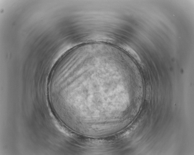 X0000088381039200706121140