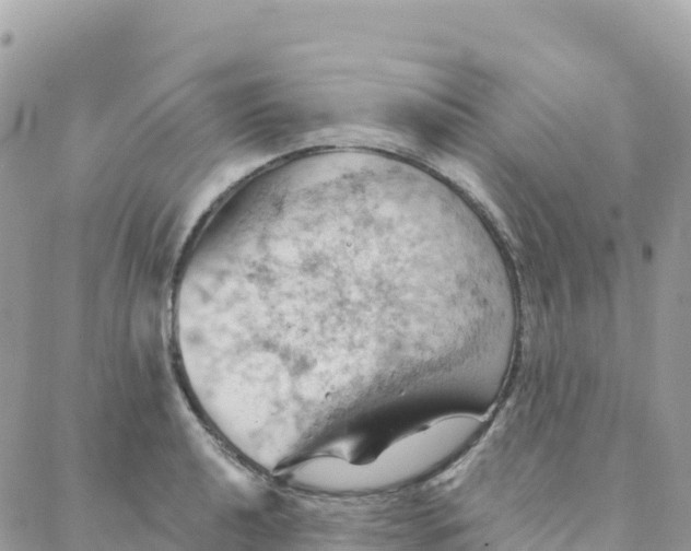 X0000088381040200706121140