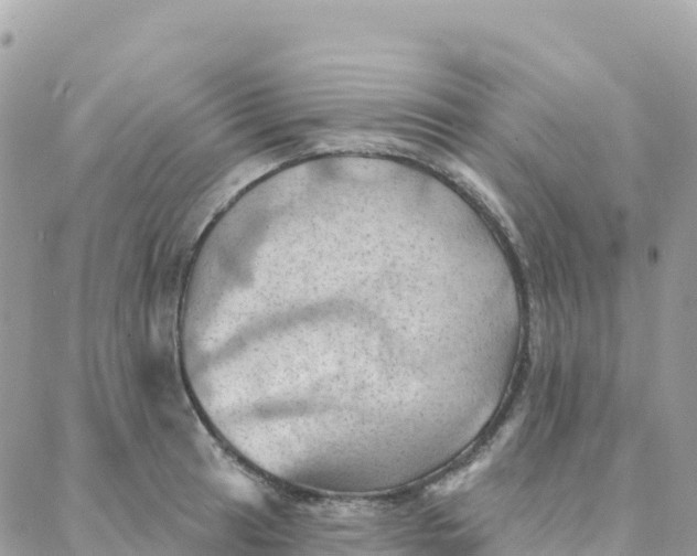 X0000088381041200706121140