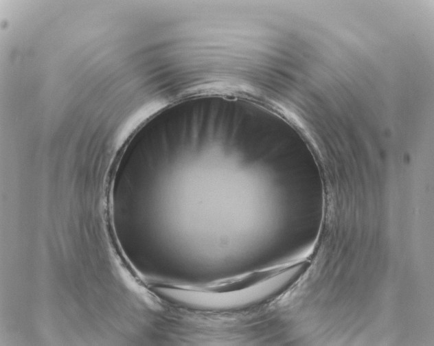 X0000088381042200706121140