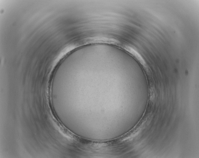 X0000088381043200706121140