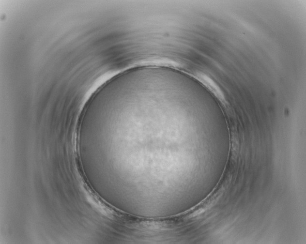 X0000088381044200706121140