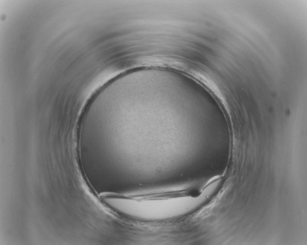 X0000088381045200706121140