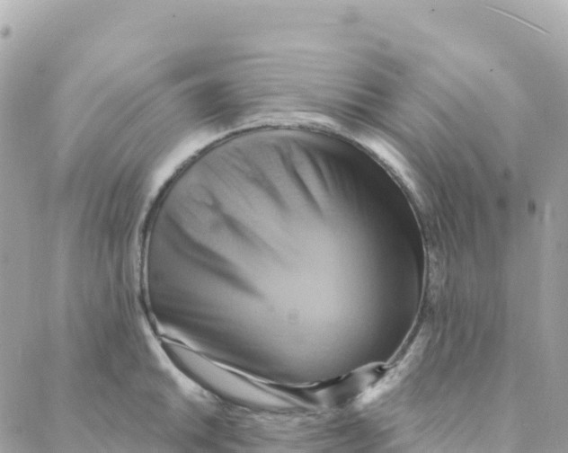 X0000088381046200706121140