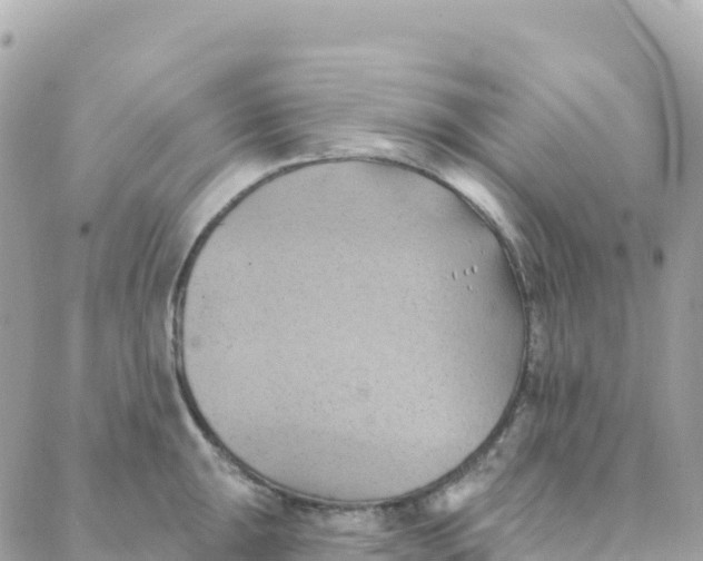 X0000088381047200706121140