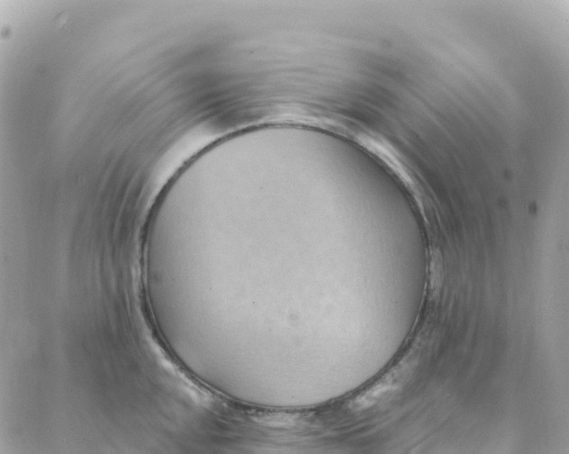 X0000088381048200706121140