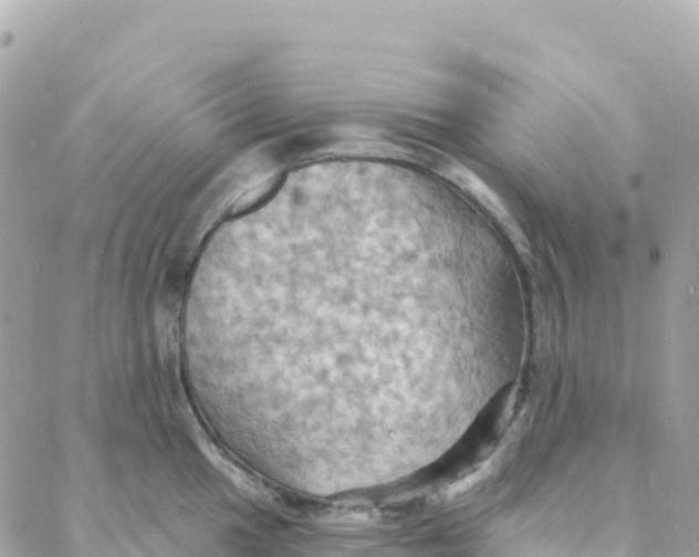 X0000088381049200706121140