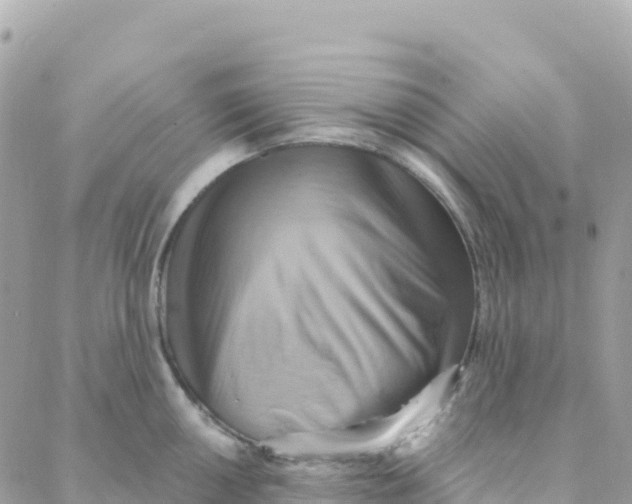 X0000088381050200706121140