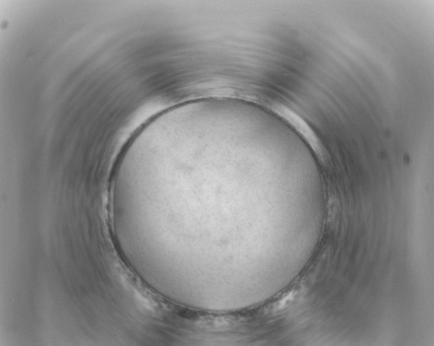 X0000088381051200706121140