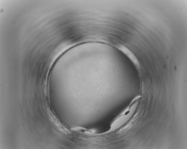 X0000088381052200706121140