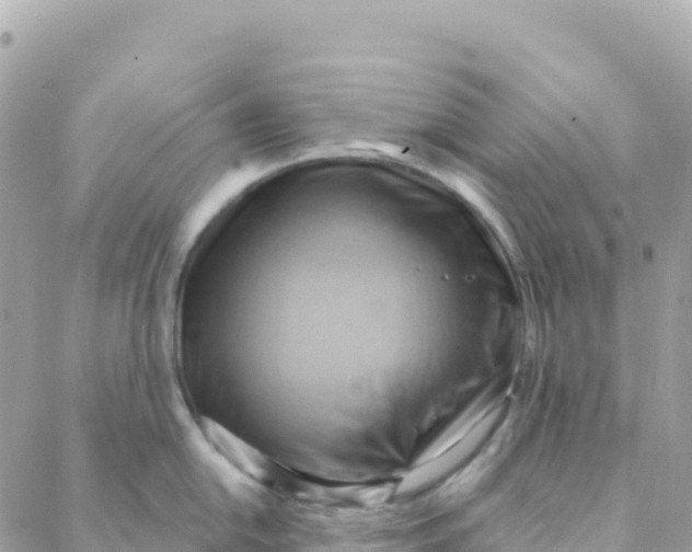 X0000088381054200706121140