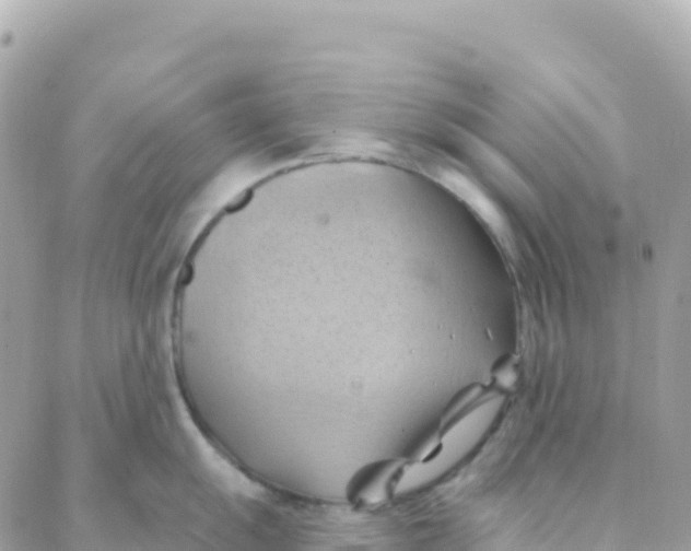 X0000088381055200706121140