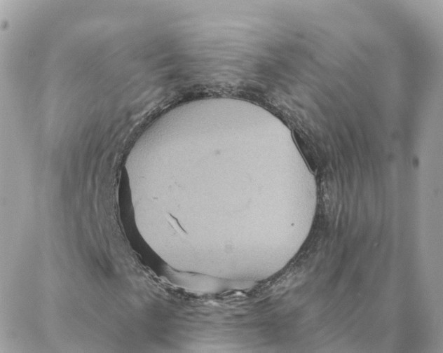 X0000088381057200706121139