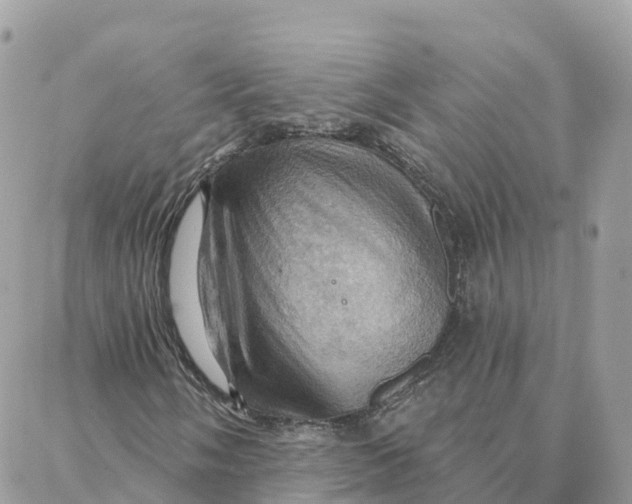 X0000088381058200706121139