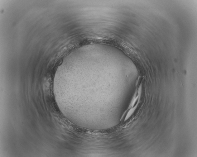 X0000088381059200706121139