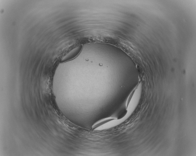 X0000088381060200706121139