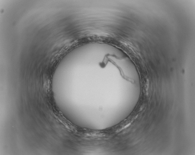 X0000088381061200706121139