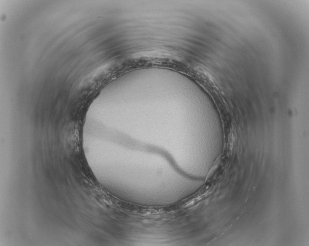 X0000088381062200706121139