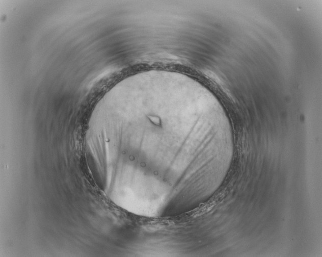 X0000088381063200706121139