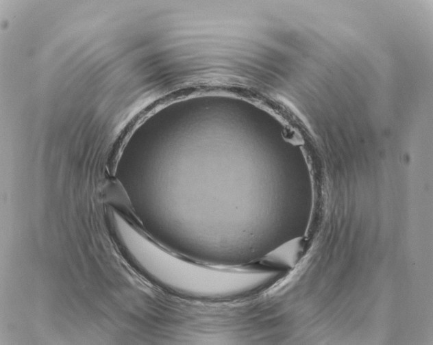 X0000088381065200706121139