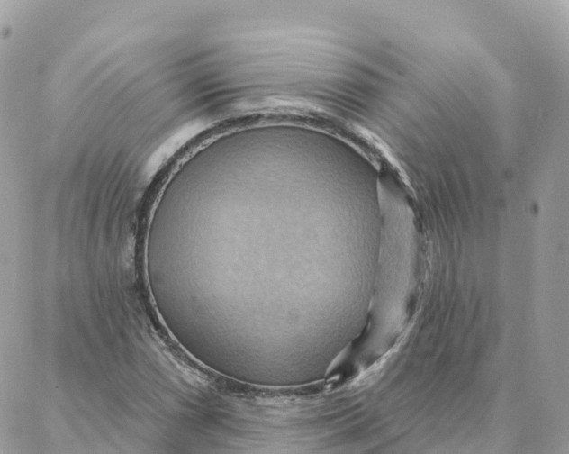 X0000088381066200706121139