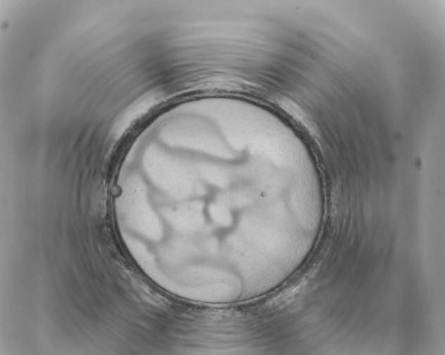 X0000088381067200706121139