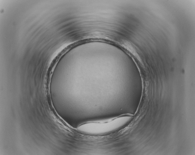 X0000088381068200706121139