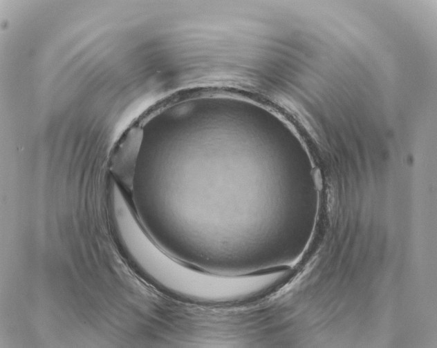 X0000088381069200706121139