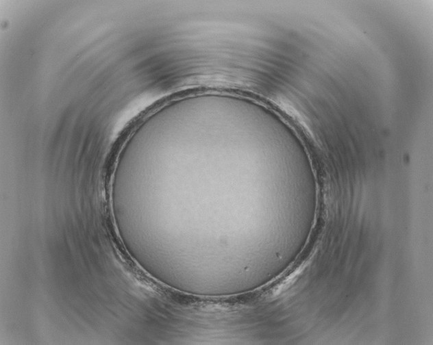 X0000088381070200706121139