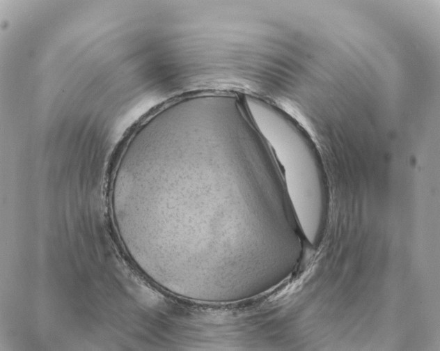 X0000088381071200706121139