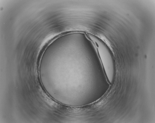 X0000088381072200706121139