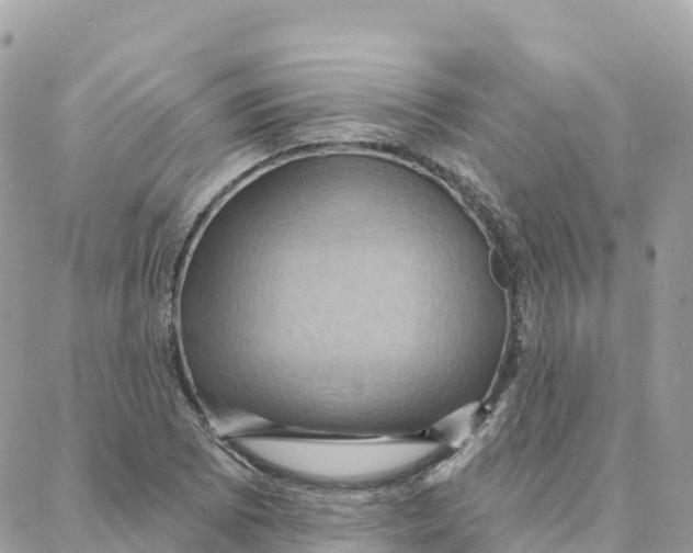 X0000088381073200706121139