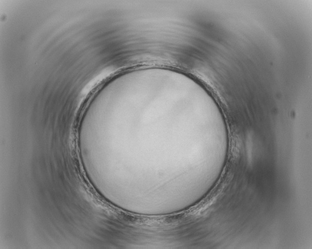 X0000088381074200706121139