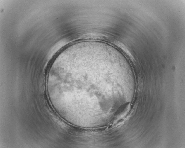 X0000088381075200706121139