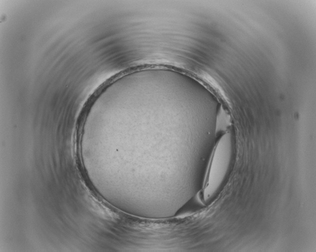 X0000088381076200706121139