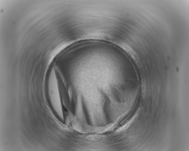 X0000088381077200706121139