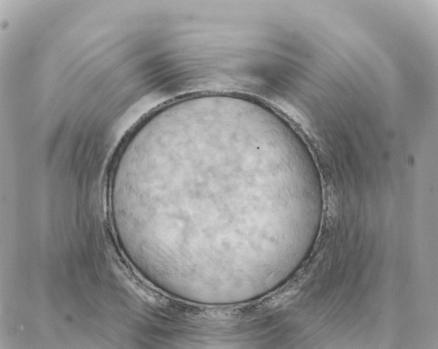 X0000088381078200706121139