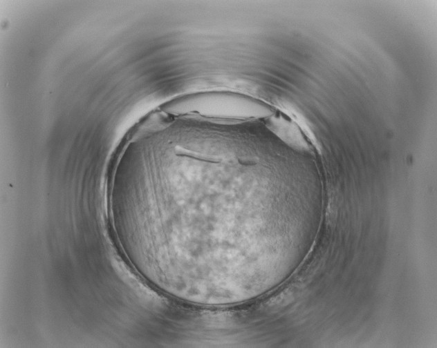 X0000088381080200706121139