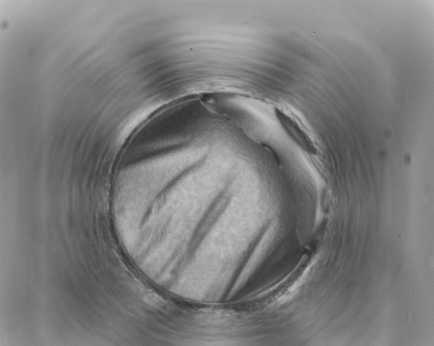 X0000088381081200706121139