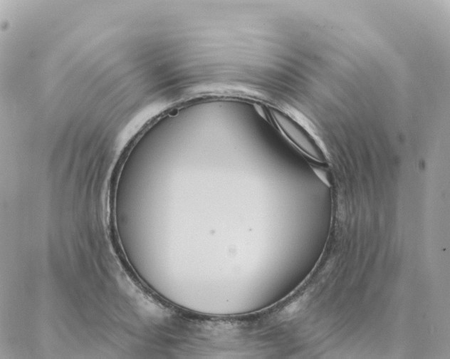 X0000088381082200706121139