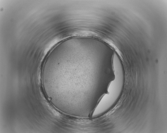 X0000088381083200706121139